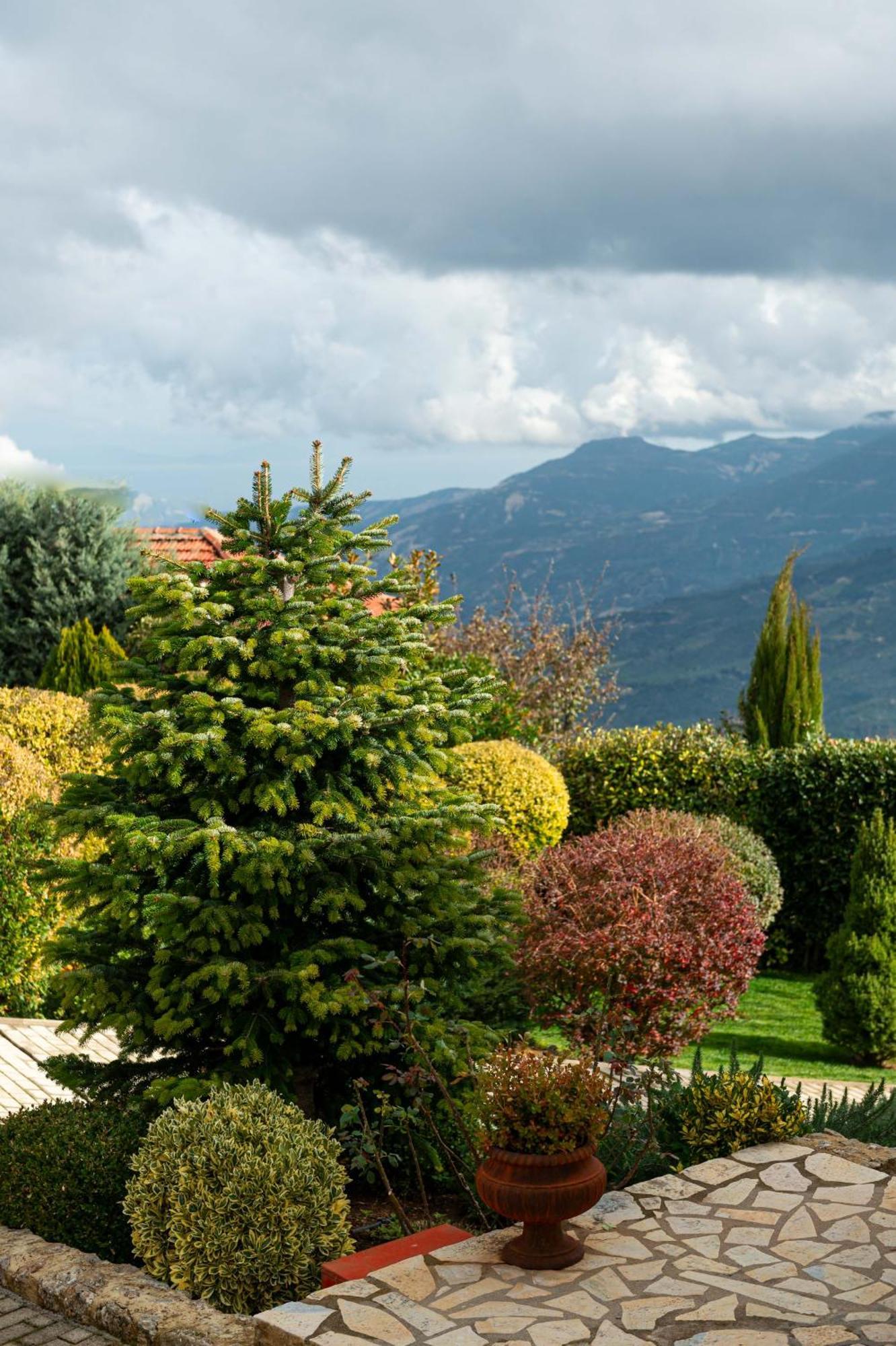 Anotopos Ano Trikala Exteriér fotografie